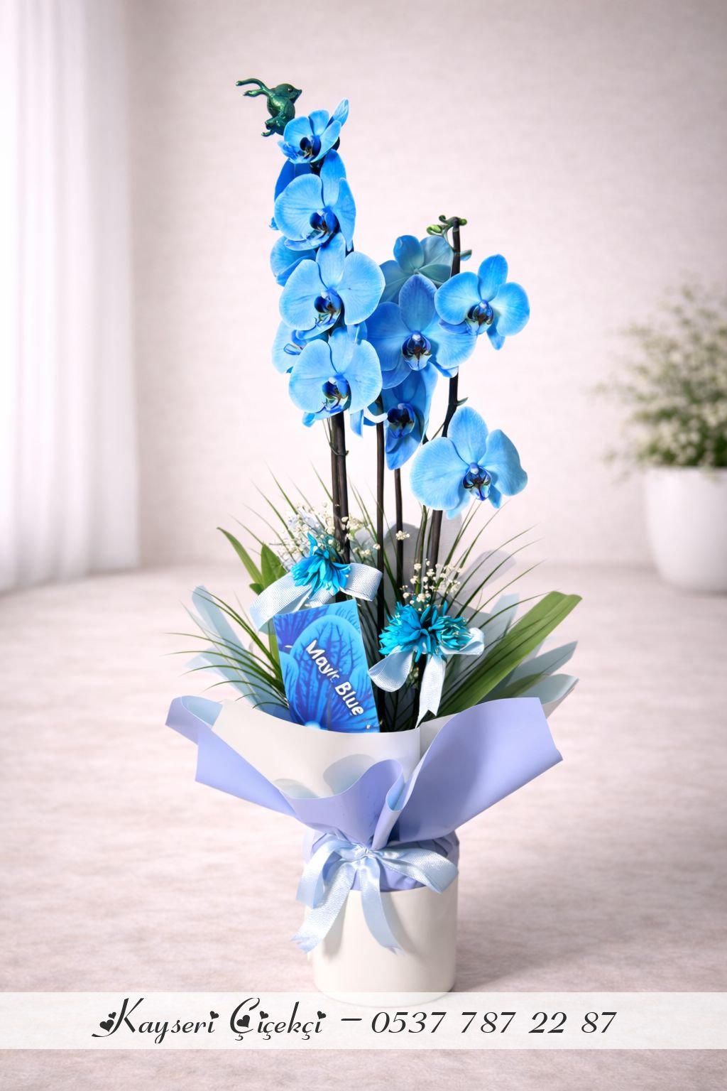 Büyük Boy İthal 2 Dallı Premium Mavi Orkide