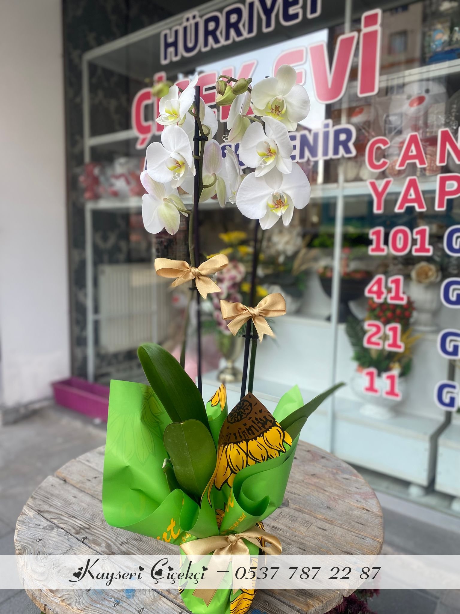 Çift Dal Ithal Beyaz Orkide