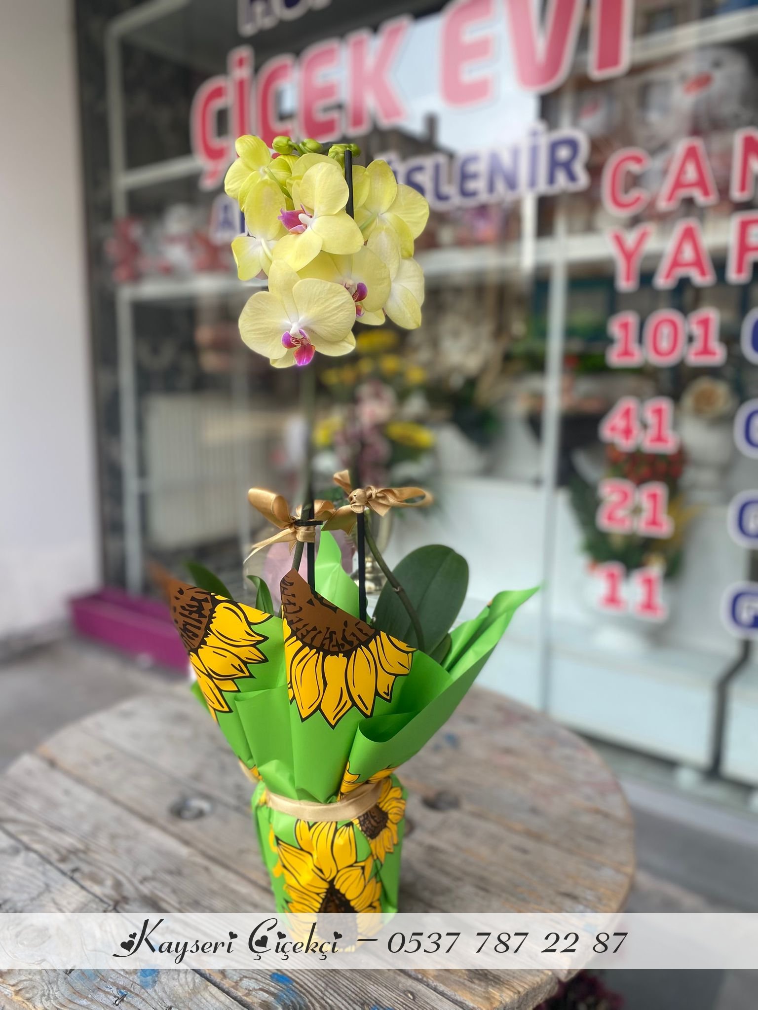 Çift Dal Ithal Sarı Orkide
