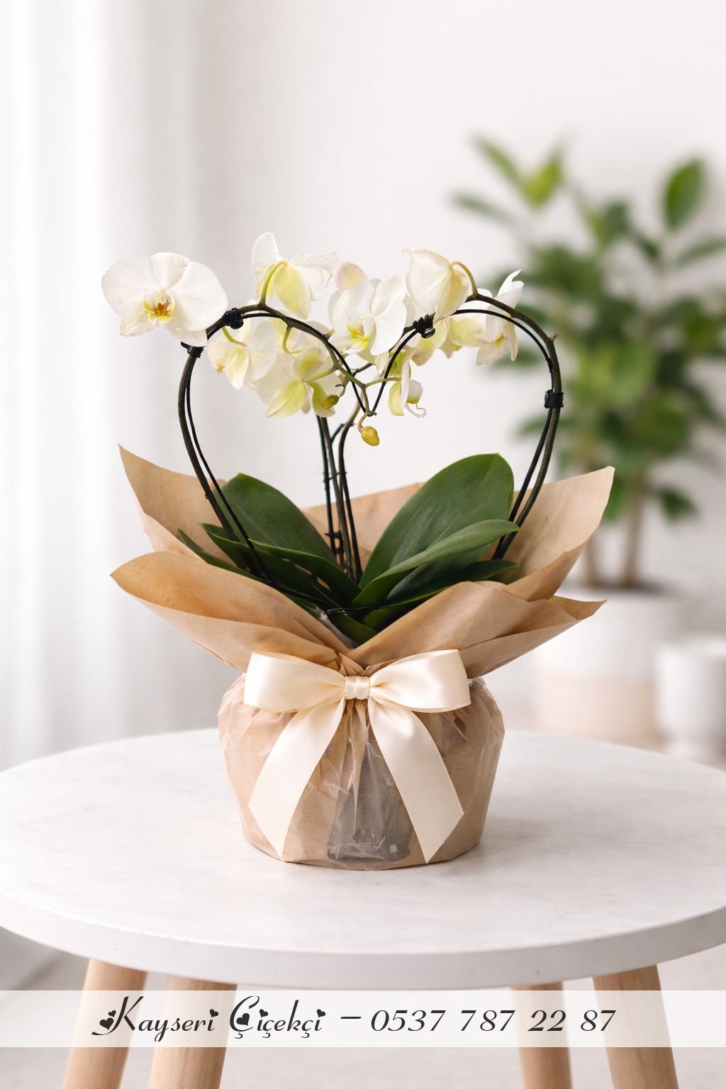 Kalpli Beyaz Orkide Premium Ürün
