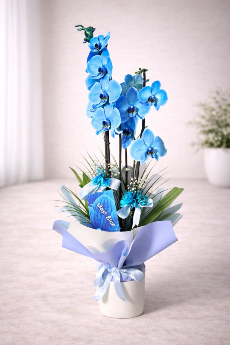 Büyük Boy İthal 2 Dallı Premium Mavi Orkide