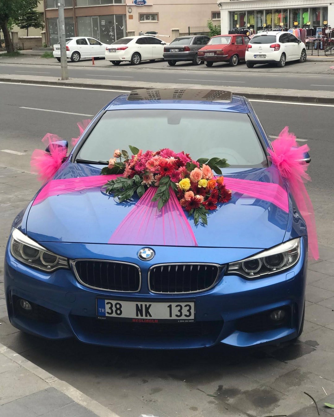 Canlı Karışık Araç Süsleme