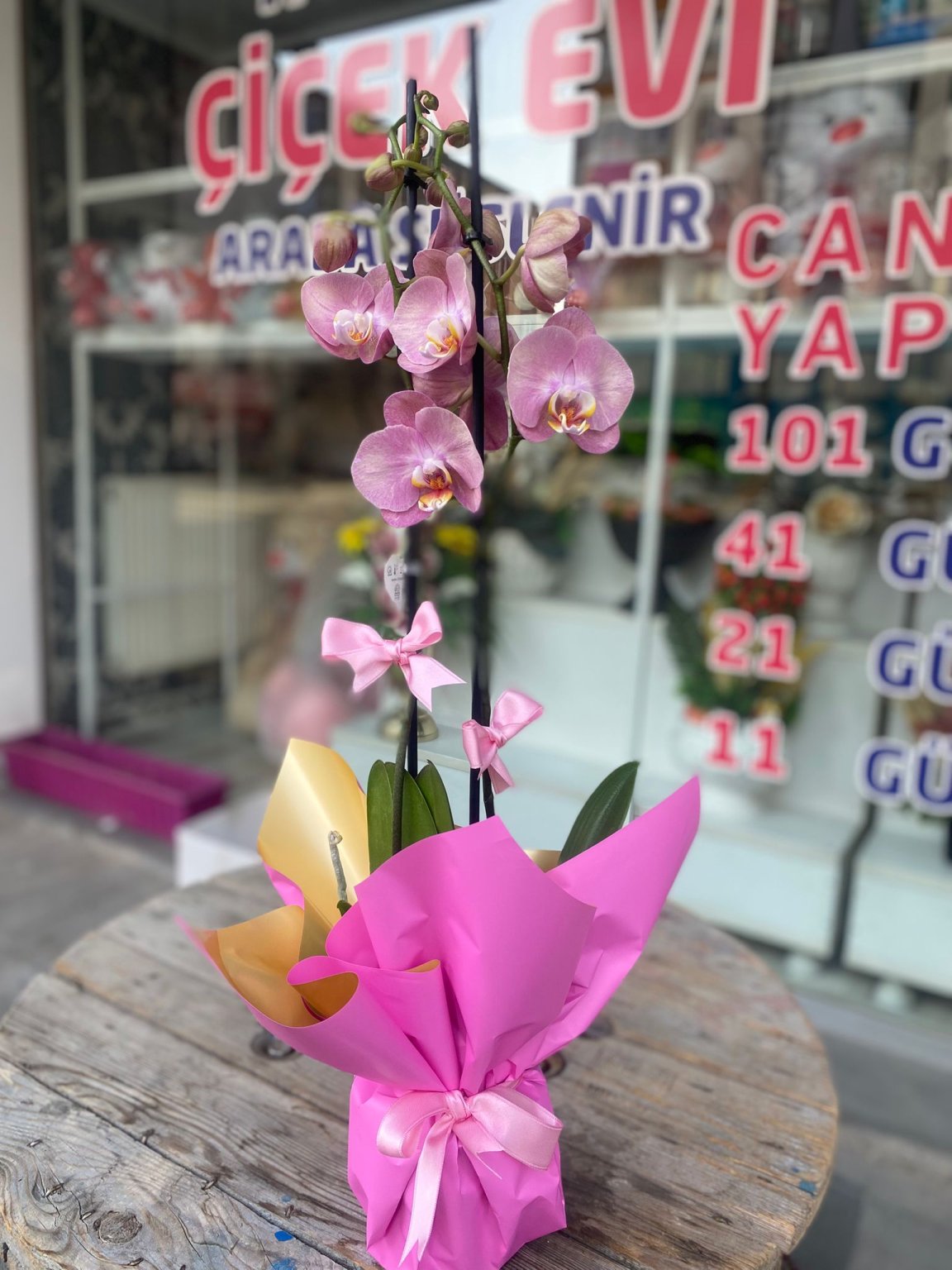 Çift Dal Ithal Pembe Orkide