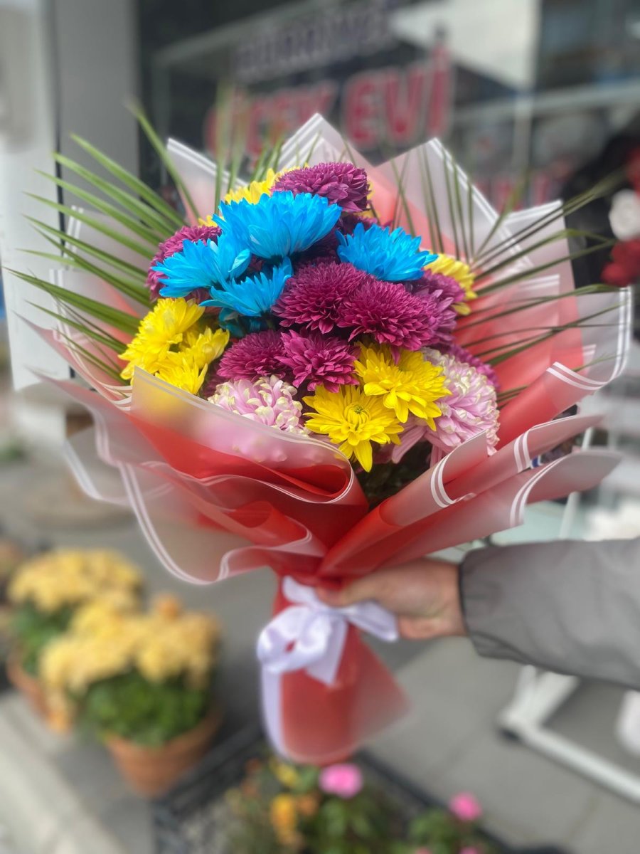 Karışık Kasımpatı 