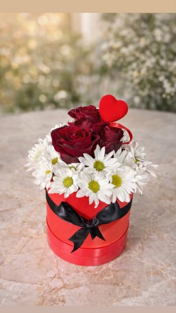 Kırmızı Kutuda Papatya Gül Ve Kalp
