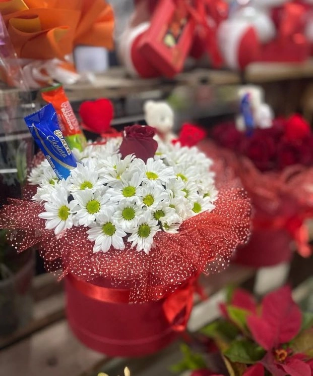 Kutuda Tek Gül Papatya